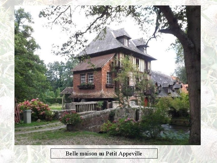 Belle maison au Petit Appeville 