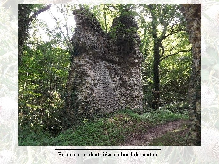 Ruines non identifiées au bord du sentier 