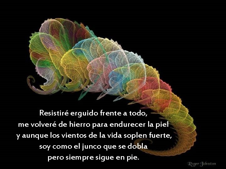 Resistiré erguido frente a todo, me volveré de hierro para endurecer la piel y