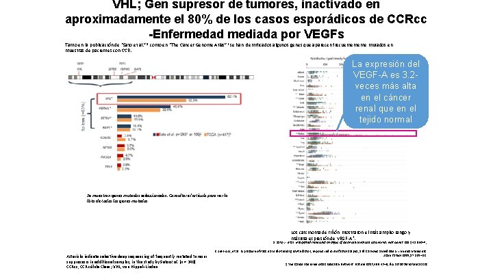 VHL; Gen supresor de tumores, inactivado en aproximadamente el 80% de los casos esporádicos