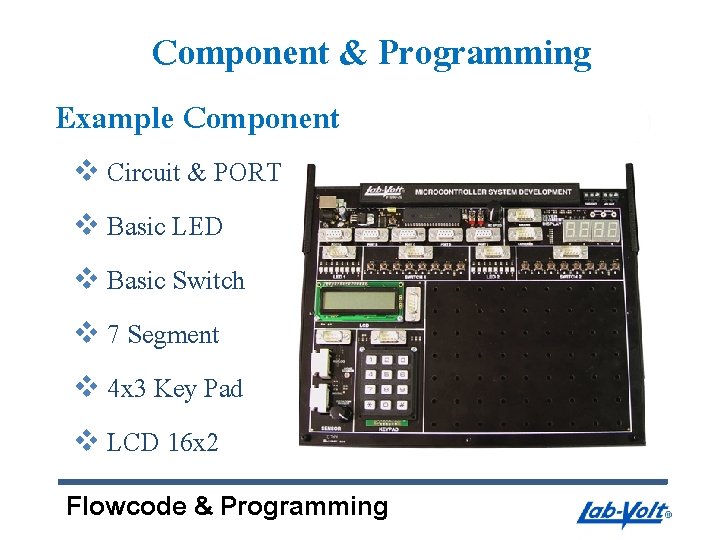 Component & Programming Example Component v Circuit & PORT v Basic LED v Basic