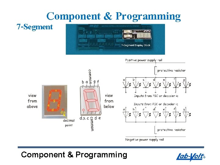 Component & Programming 7 -Segment Component & Programming 