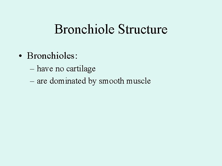 Bronchiole Structure • Bronchioles: – have no cartilage – are dominated by smooth muscle Bronchiole Structure • Bronchioles: – have no cartilage – are dominated by smooth muscle