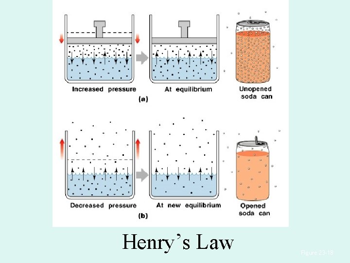 Henry’s Law Figure 23– 18 Henry’s Law Figure 23– 18