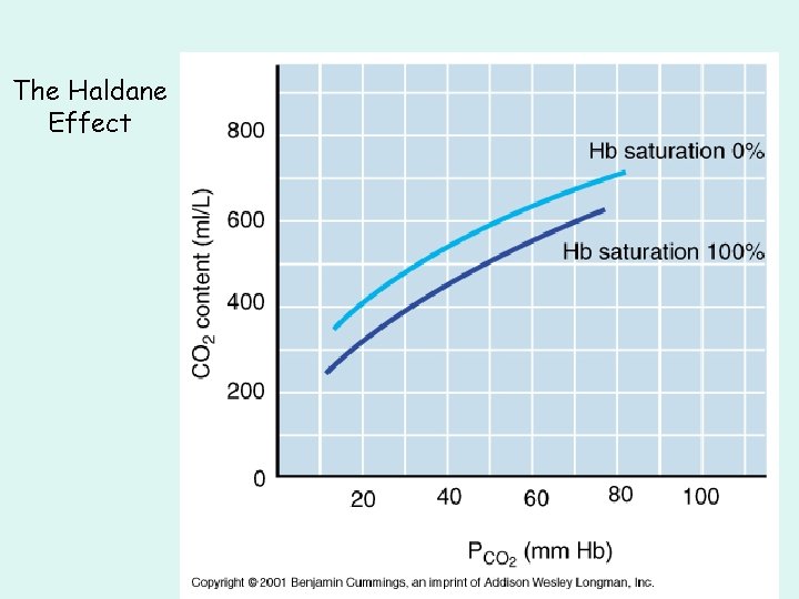 The Haldane Effect The Haldane Effect