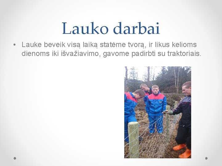 Lauko darbai • Lauke beveik visą laiką statėme tvorą, ir likus kelioms dienoms iki
