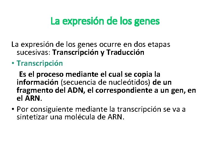 La expresión de los genes ocurre en dos etapas sucesivas: Transcripción y Traducción •