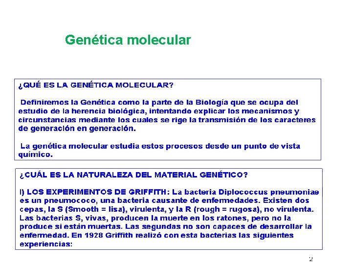 Genética molecular 