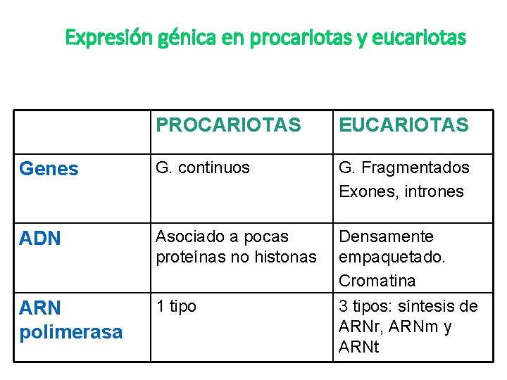 Expresión génica en procariotas y eucariotas PROCARIOTAS EUCARIOTAS Genes G. continuos G. Fragmentados Exones,