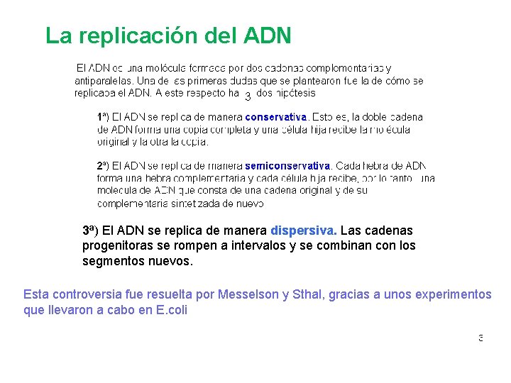La replicación del ADN 3 3ª) El ADN se replica de manera dispersiva. Las
