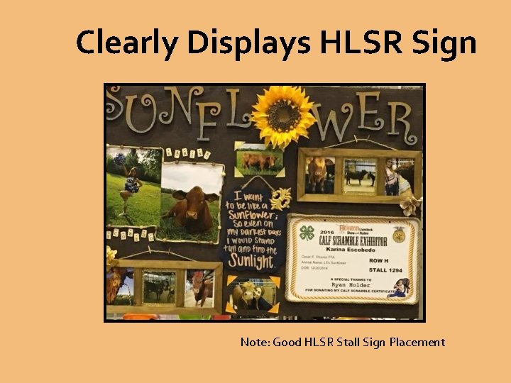 Clearly Displays HLSR Sign Note: Good HLSR Stall Sign Placement 