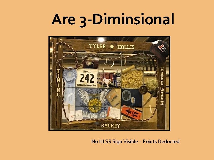 Are 3 -Diminsional No HLSR Sign Visible – Points Deducted 