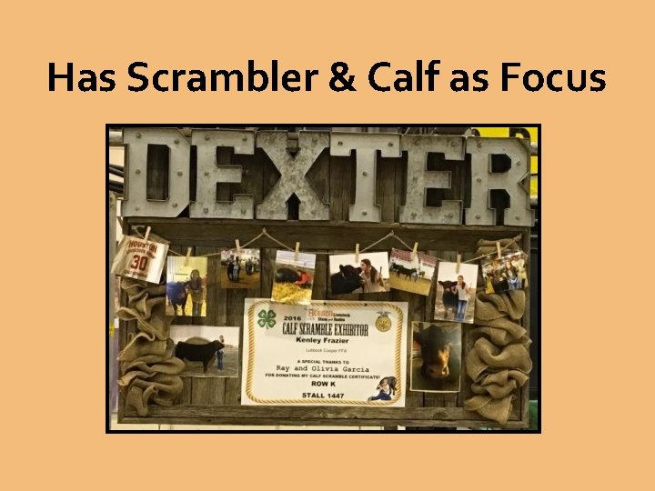 Has Scrambler & Calf as Focus 