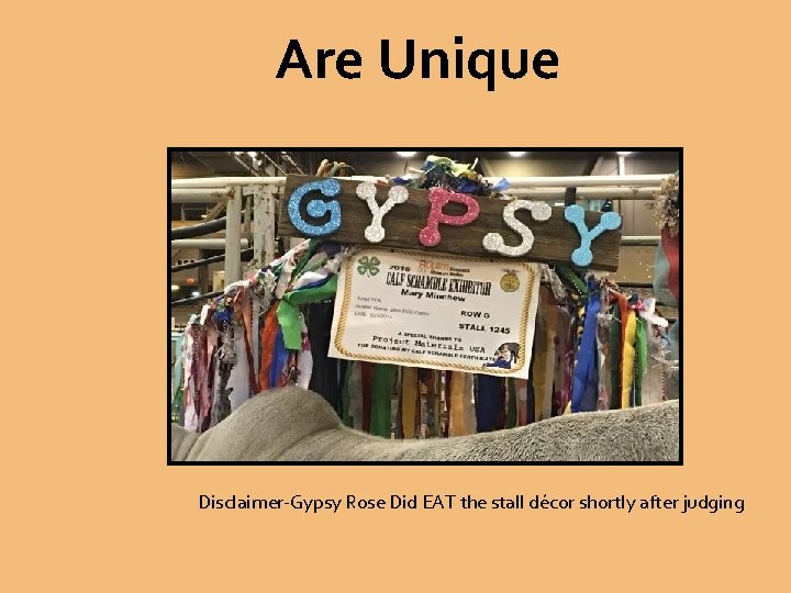 Are Unique Disclaimer-Gypsy Rose Did EAT the stall décor shortly after judging 