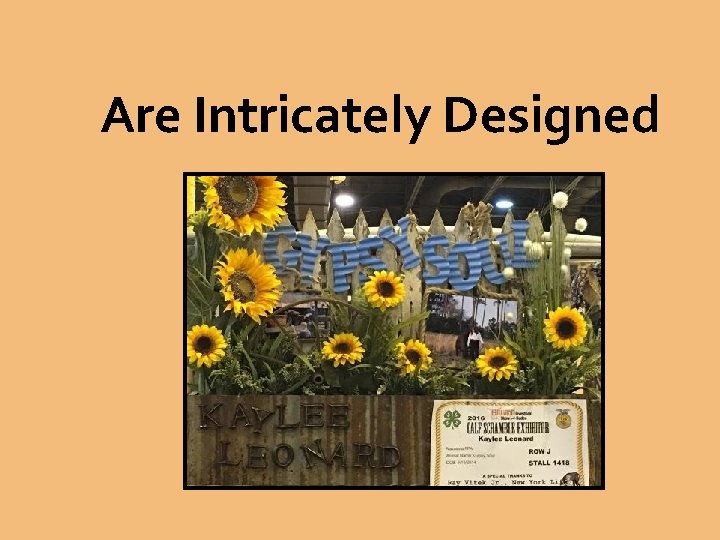 Are Intricately Designed 