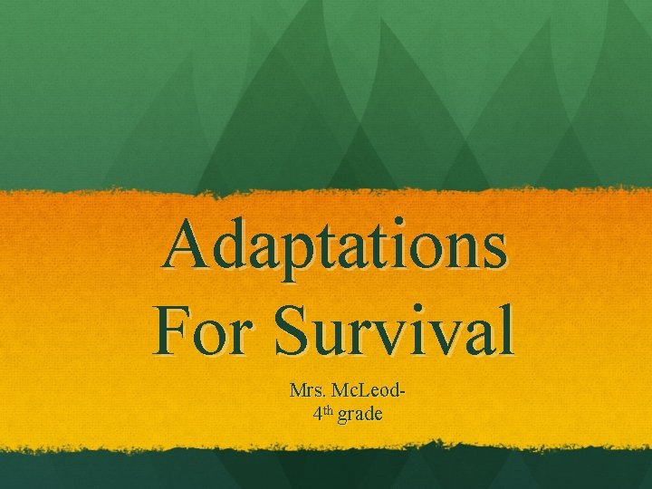 Adaptations For Survival Mrs. Mc. Leod 4 th grade 