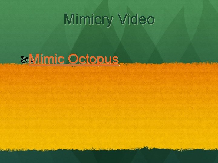Mimicry Video Mimic Octopus 