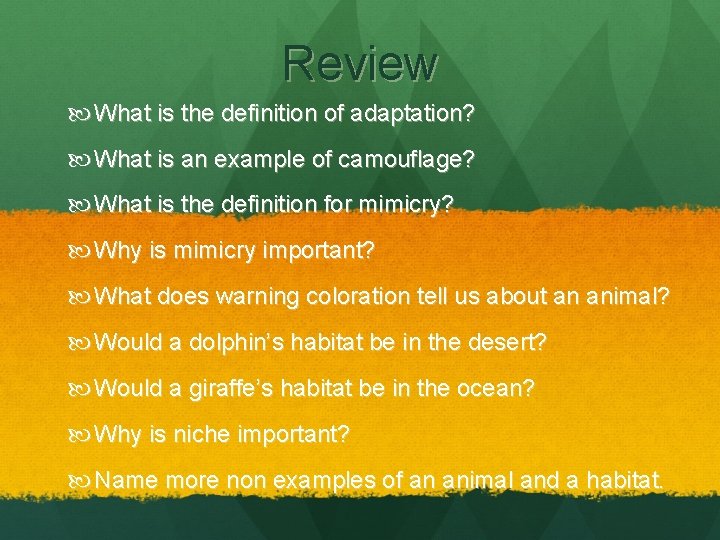 Review What is the definition of adaptation? What is an example of camouflage? What