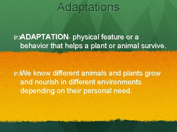 Adaptations ADAPTATION- physical feature or a behavior that helps a plant or animal survive.