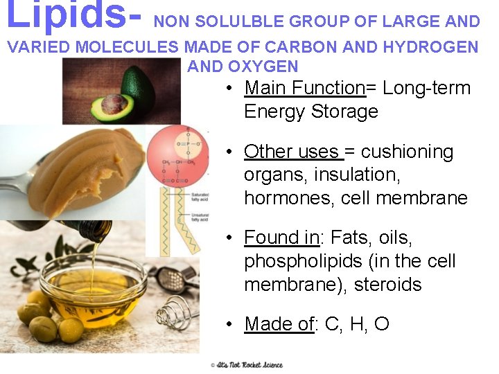 Lipids- NON SOLULBLE GROUP OF LARGE AND VARIED MOLECULES MADE OF CARBON AND HYDROGEN