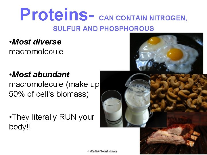 Proteins- CAN CONTAIN NITROGEN, SULFUR AND PHOSPHOROUS • Most diverse macromolecule • Most abundant