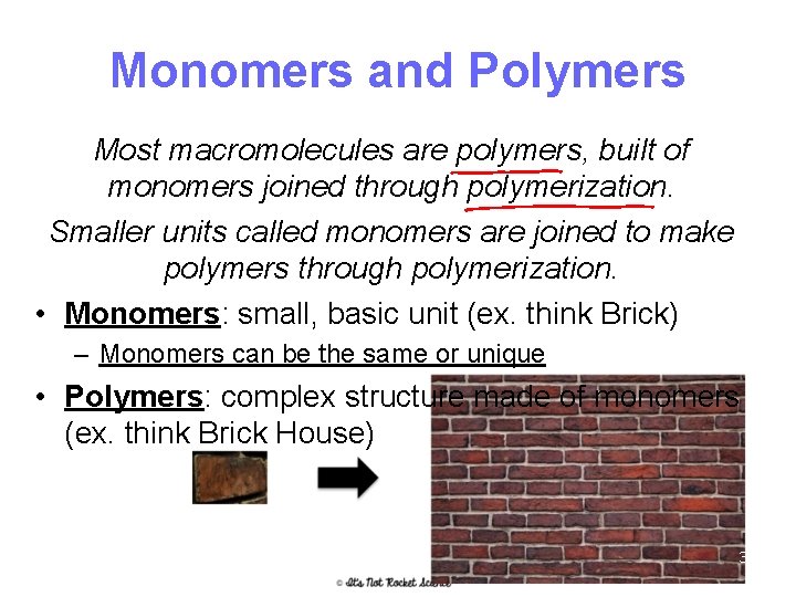Monomers and Polymers Most macromolecules are polymers, built of monomers joined through polymerization. Smaller