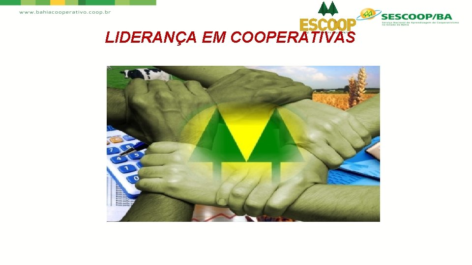 LIDERANÇA EM COOPERATIVAS 