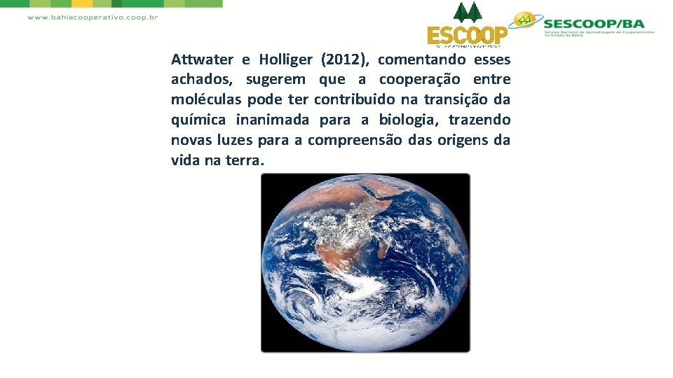Attwater e Holliger (2012), comentando esses achados, sugerem que a cooperação entre moléculas pode