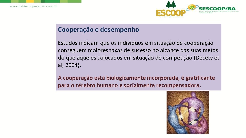 Cooperação e desempenho Estudos indicam que os indivíduos em situação de cooperação conseguem maiores