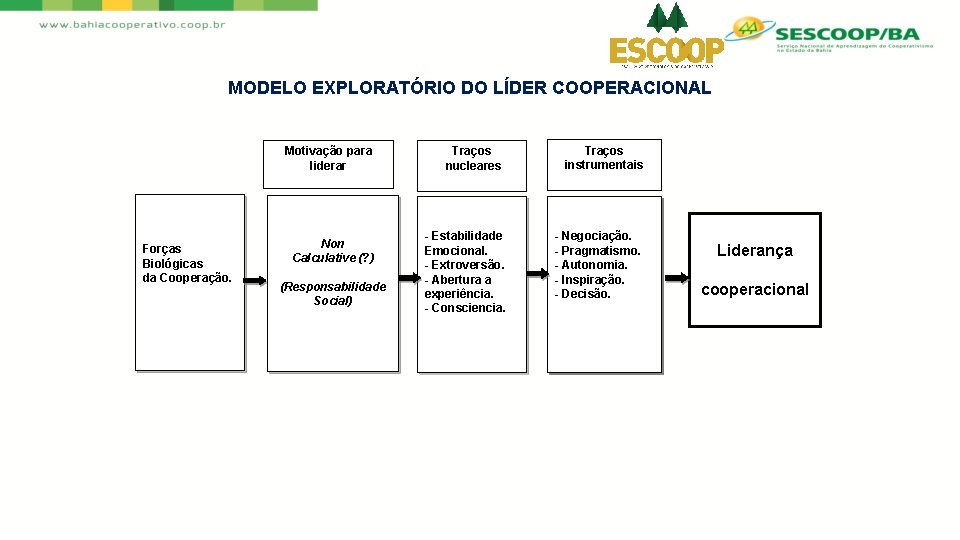 MODELO EXPLORATÓRIO DO LÍDER COOPERACIONAL Motivação para liderar Forças Biológicas da Cooperação. Non Calculative