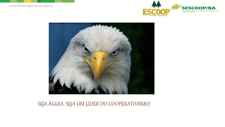 SEJA ÁGUIA. SEJA UM LÍDER DO COOPERATIVISMO! 