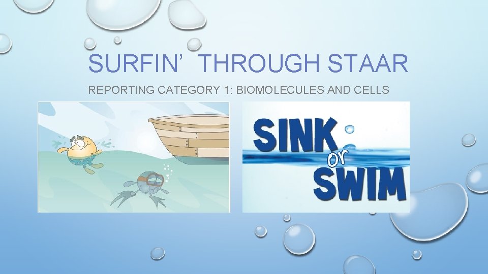SURFIN’ THROUGH STAAR REPORTING CATEGORY 1: BIOMOLECULES AND CELLS 