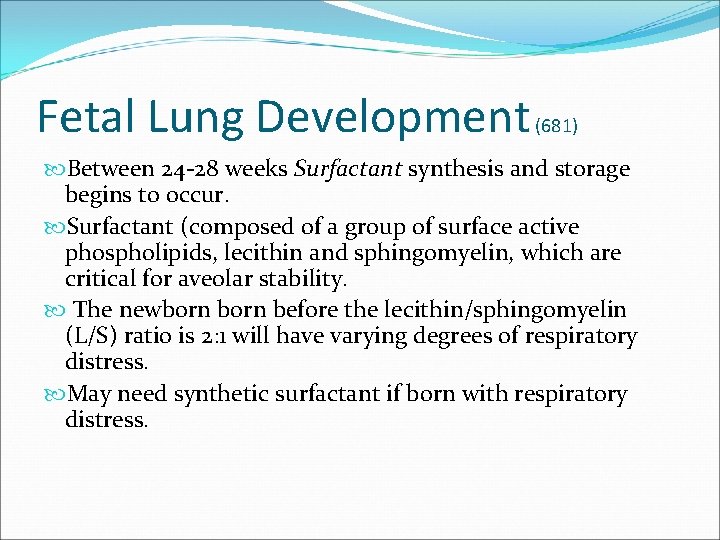 Fetal Lung Development (681) Between 24 -28 weeks Surfactant synthesis and storage begins to