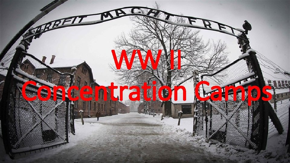 WW II Concentration Camps C 2 General 