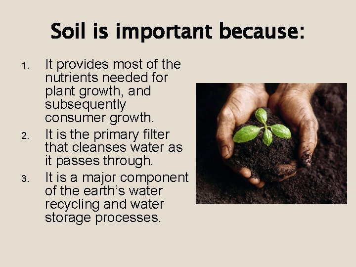 Soil is important because: 1. 2. 3. It provides most of the nutrients needed