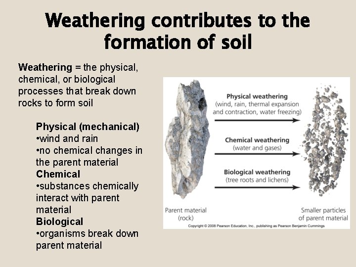 Weathering contributes to the formation of soil Weathering = the physical, chemical, or biological