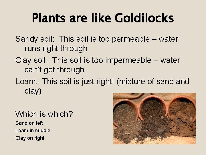 Plants are like Goldilocks Sandy soil: This soil is too permeable – water runs