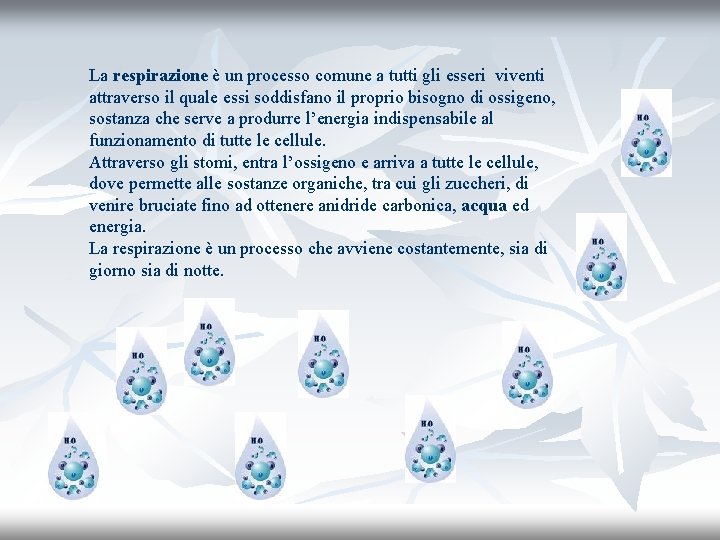 La respirazione è un processo comune a tutti gli esseri viventi attraverso il quale