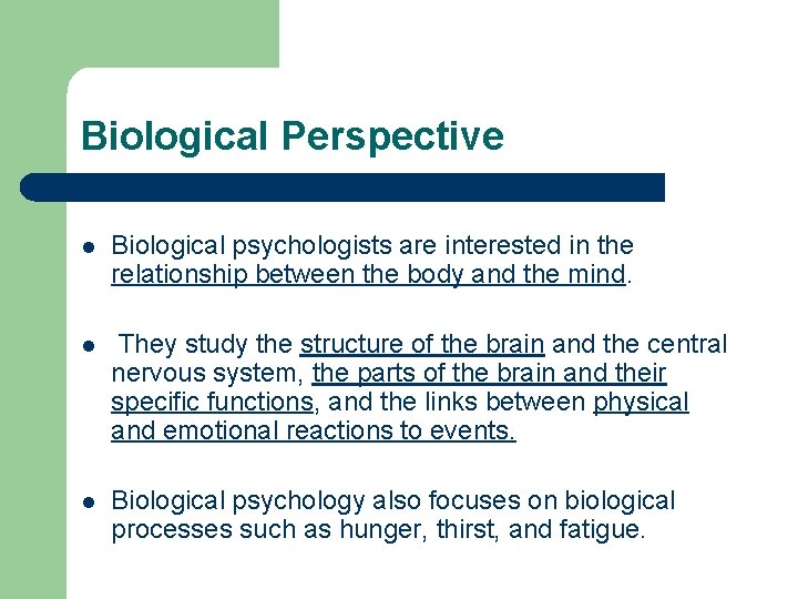 Biological Perspective l Biological psychologists are interested in the relationship between the body and