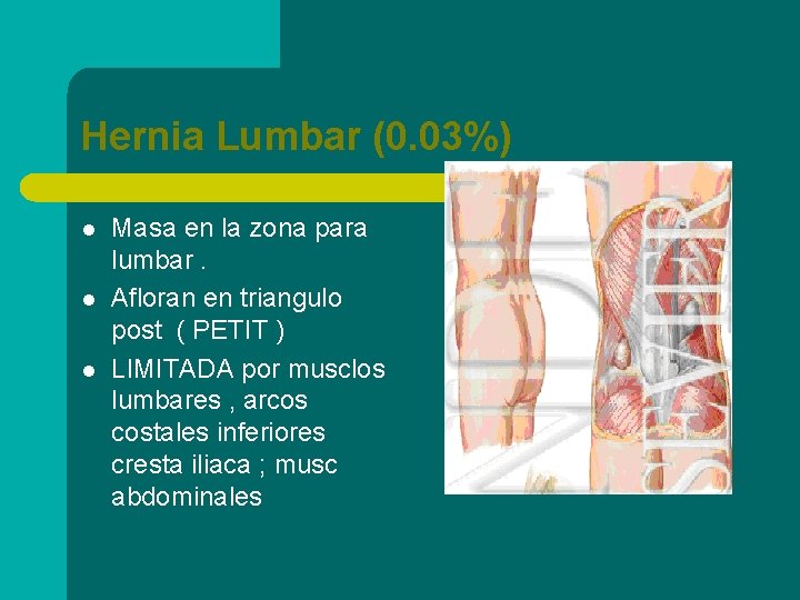 Hernia Lumbar (0. 03%) l l l Masa en la zona para lumbar. Afloran
