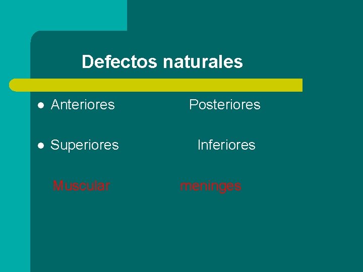 Defectos naturales l Anteriores Posteriores l Superiores Inferiores Muscular meninges 