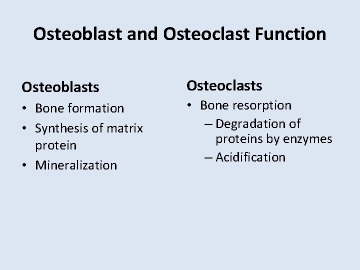 Osteoblast and Osteoclast Function Osteoblasts Osteoclasts • Bone formation • Synthesis of matrix protein