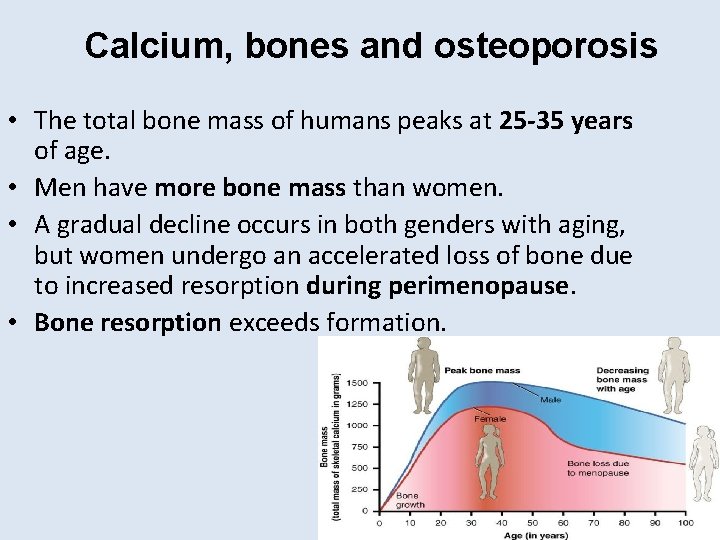 Calcium, bones and osteoporosis • The total bone mass of humans peaks at 25