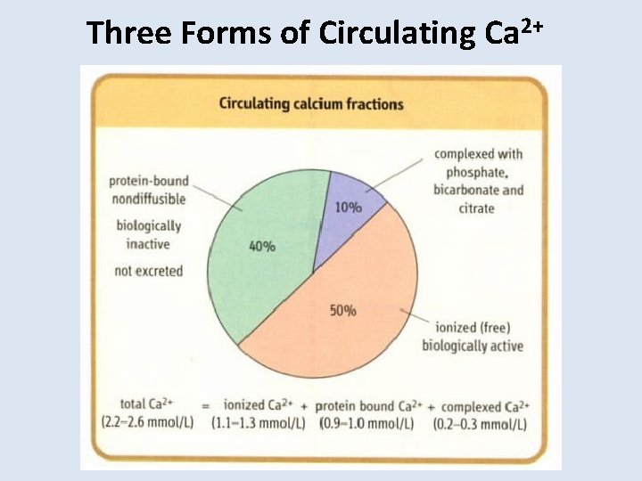 Three Forms of Circulating Ca 2+ 