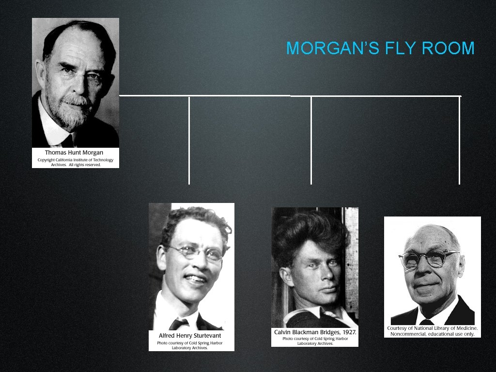 MORGAN’S FLY ROOM MORGAN’S FLY ROOM