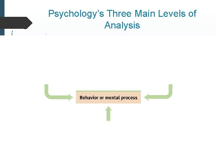 Psychology Unit 1 History and Approaches Bellwork Do