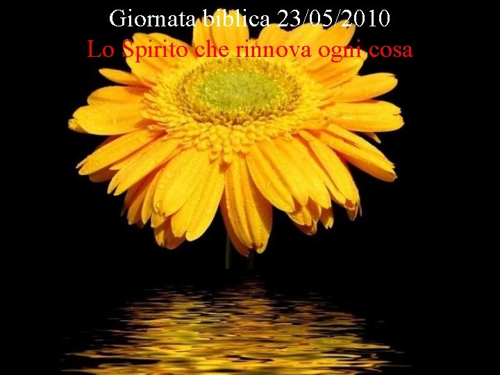 Giornata biblica 23/05/2010 Lo Spirito che rinnova ogni cosa 
