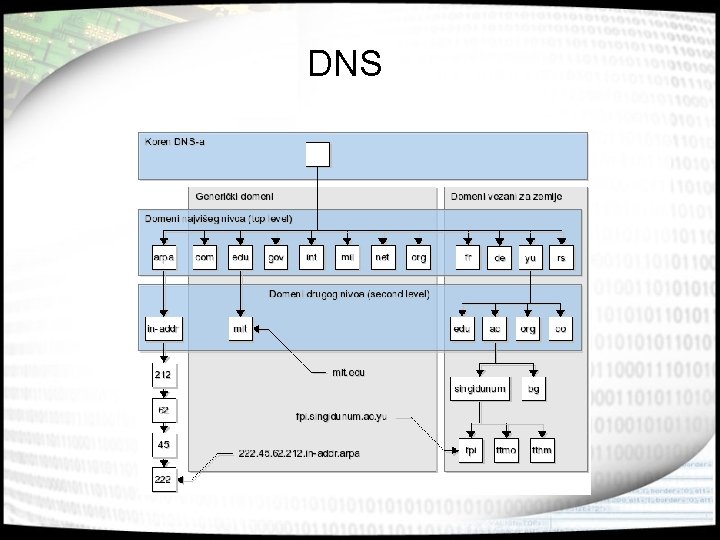 DNS 