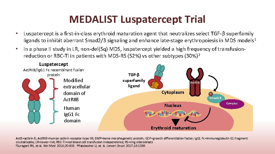 MEDALIST Luspatercept Trial • Luspatercept is a first-in-class erythroid maturation agent that neutralizes select