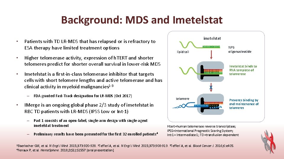 Background: MDS and Imetelstat • • • Patients with TD LR-MDS that has relapsed